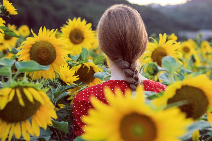 Chica en un campo de girasoles 