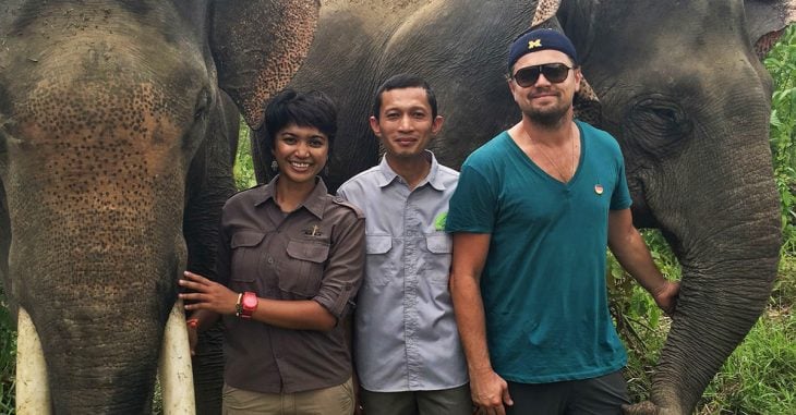 Leonardo DiCaprio lucha por salvar a los elefantes en Indonesia