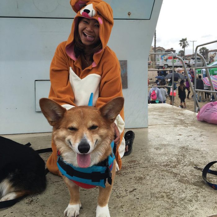 Día de playa del corgi