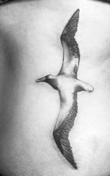Tatuaje albatros 