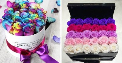 Las rosas en cajita son el nuevo regalo que todas las mujeres deseamos recibir