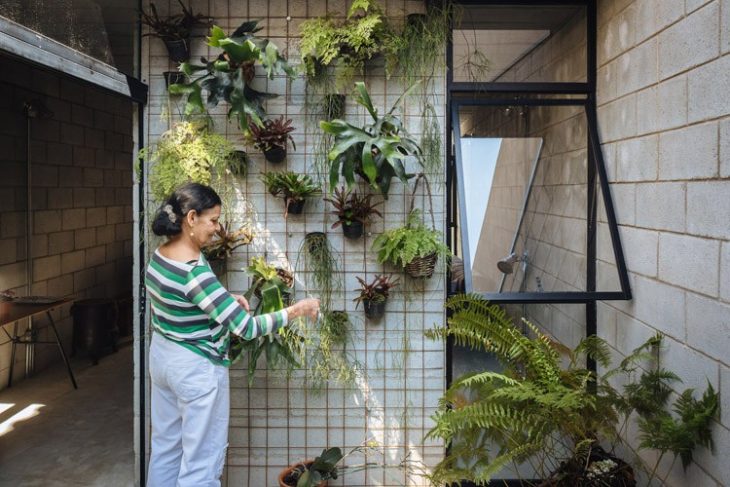 mujer regando sus plantas Casa de trabajadora domestica gana premio de arquitectura al edificio del año 