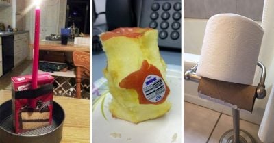 35 Imágenes que son un homenaje a la flojera extrema; ¡Observa y aprende!