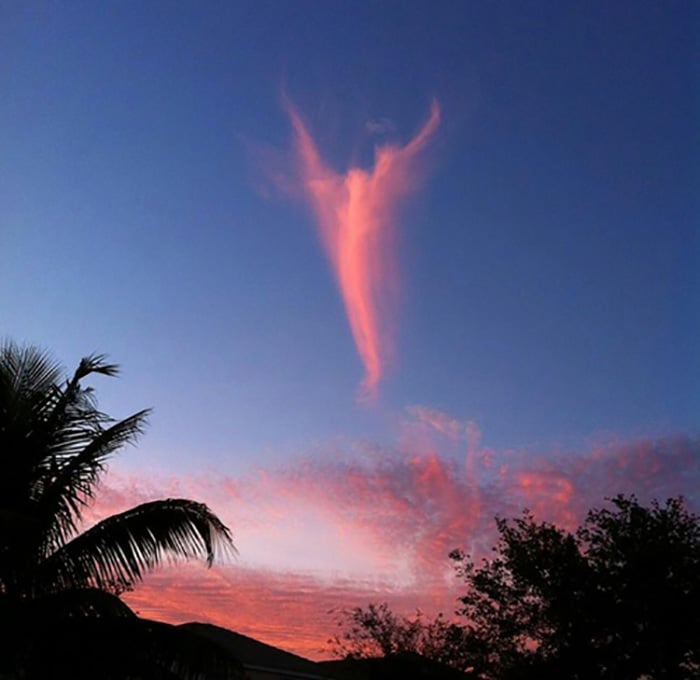 nube en forma de angel color rosa 