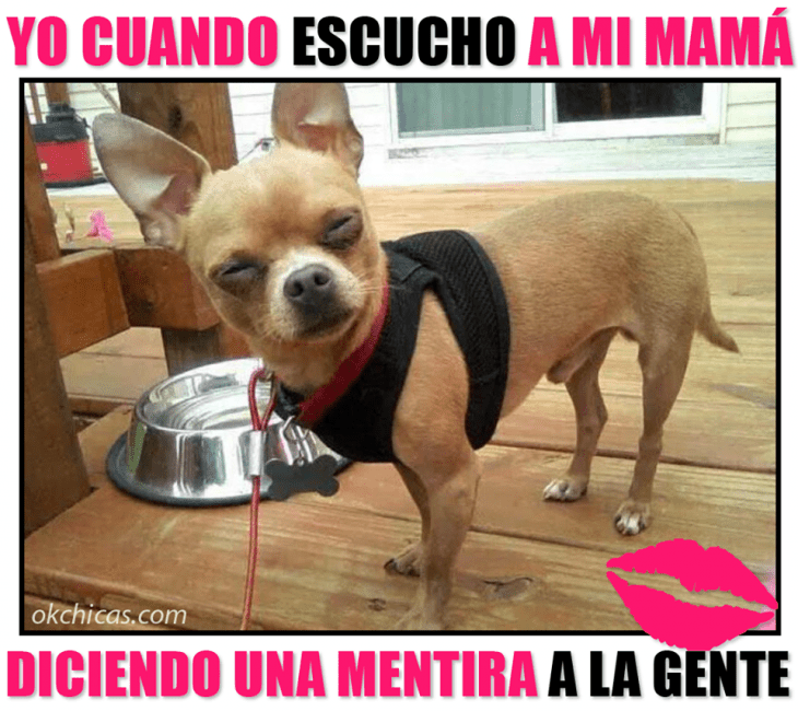 meme ok chicas cuando mi mamá dice una mentira 