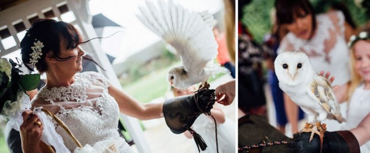 Búho parte de la ceremonia de una boda 