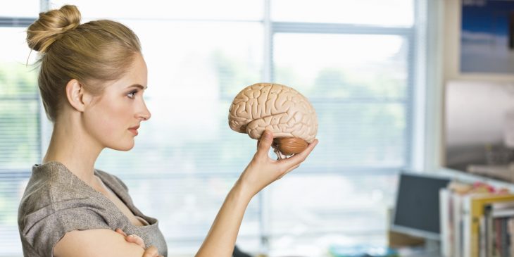 mujer sosteniendo un cerebro de plástico