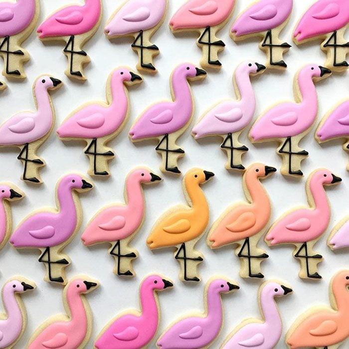 repostería galletas de colores flamingos de colores 
