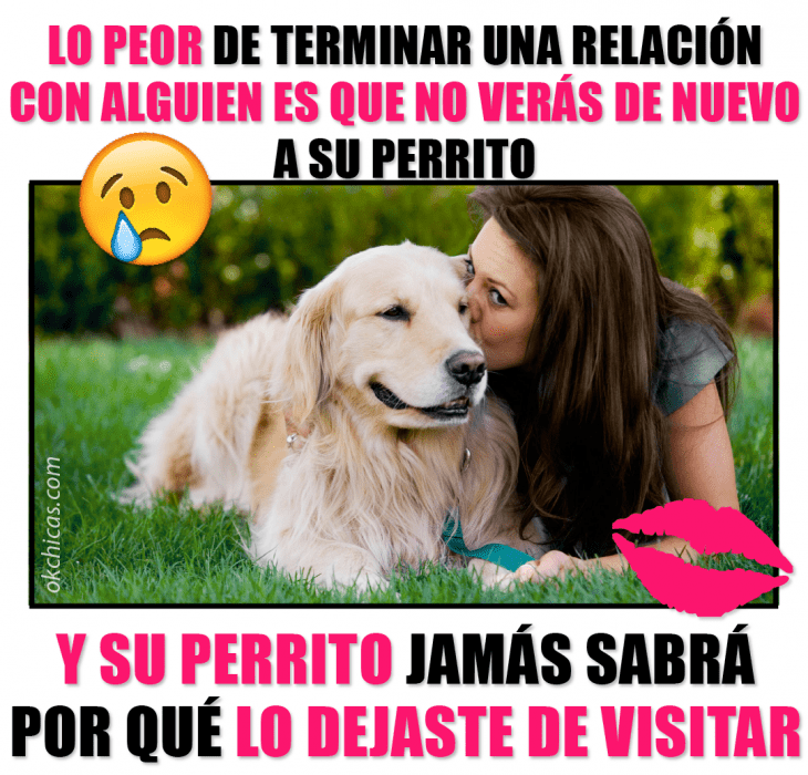 meme ok chicas chica acostada en el suelo besando perro 