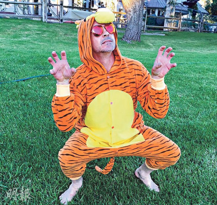 robert downey jr disfrazado de tigre