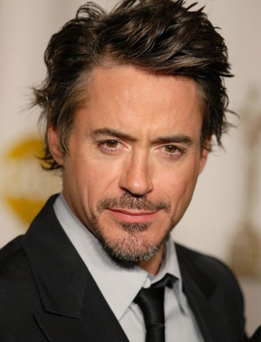 robert downey jr