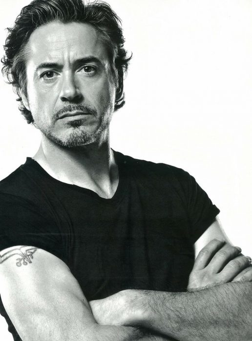 robert downey jr