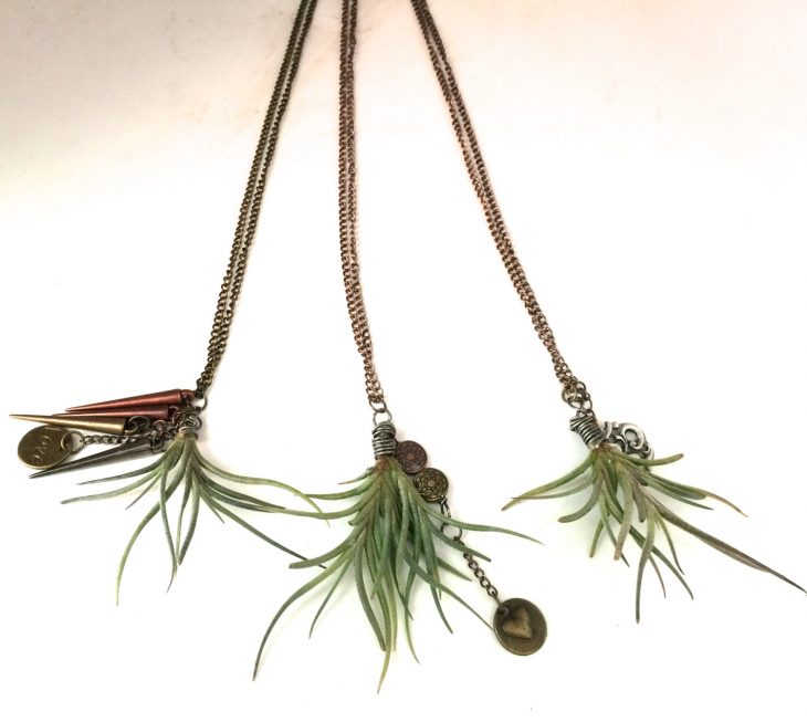 collar con plantas naturales