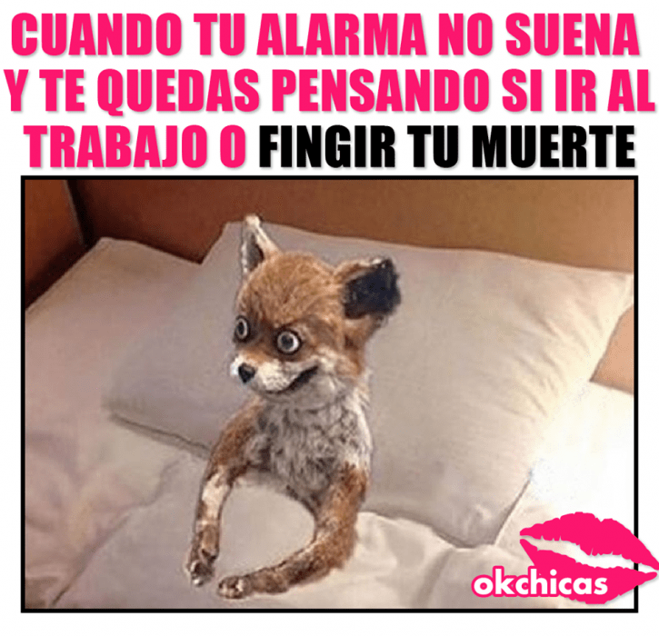 meme cuando no suena la alarma