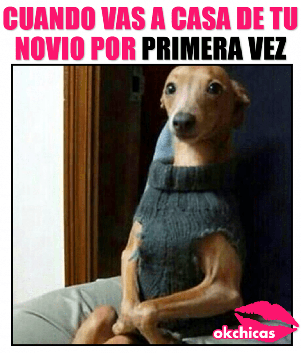 meme cuando visitas casa de tu novio