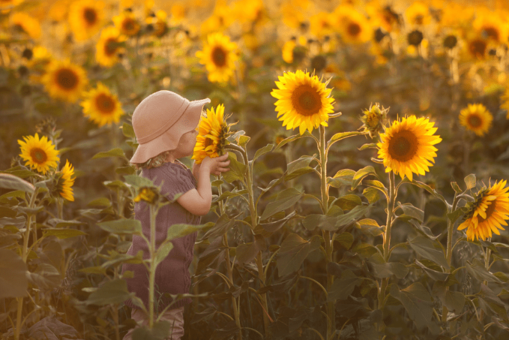 Pequeña oliendo un girasol 