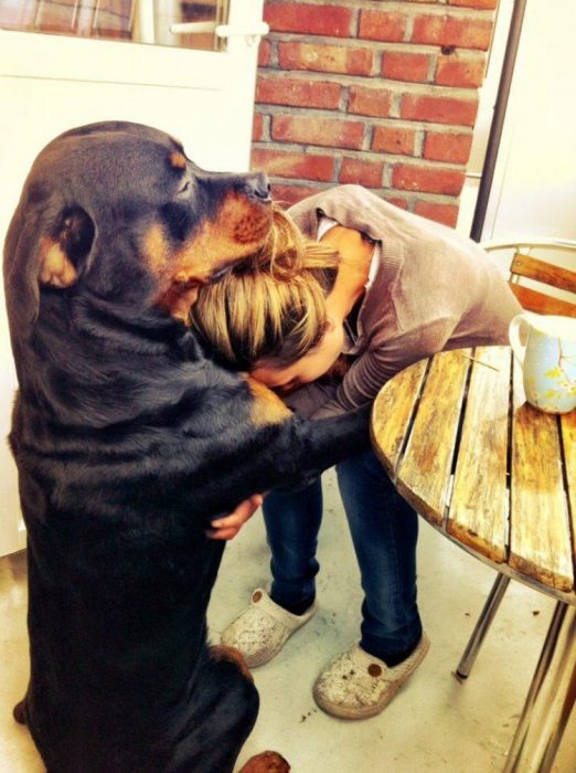 Perro abrazando a su dueña 