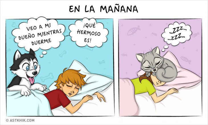 Comic que muestra las diferencias de vivir con un perro y con un gato mientras duermen 