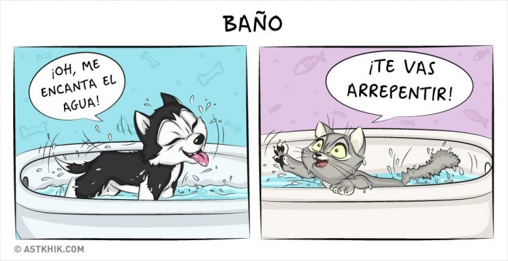 Comic que muestra las diferencias de vivir con un perro y con un gato cuando les das un baño