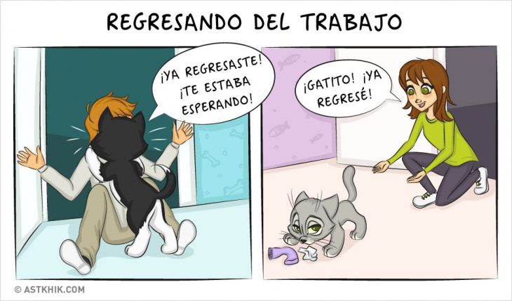 Comic que muestra las diferencias de vivir con un perro y con un gato cuando regresas del trabajo