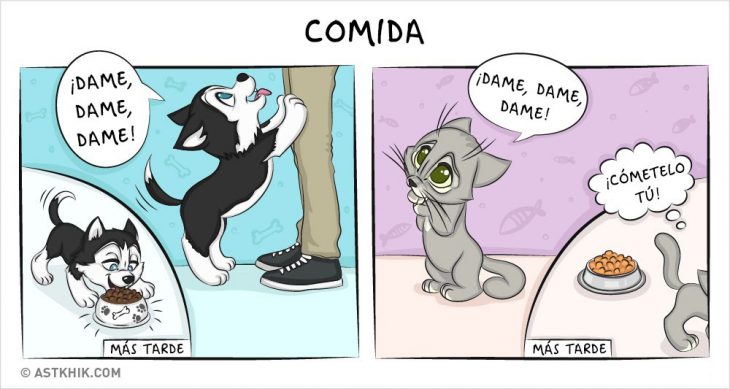 Comic que muestra las diferencias de vivir con un perro y con un gato mientras comen 