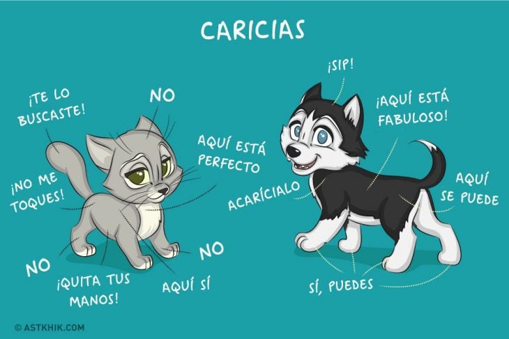 Comic que muestra las diferencias de vivir con un perro y con un gato mostrando la parte en donde les gusta que los acaricien 