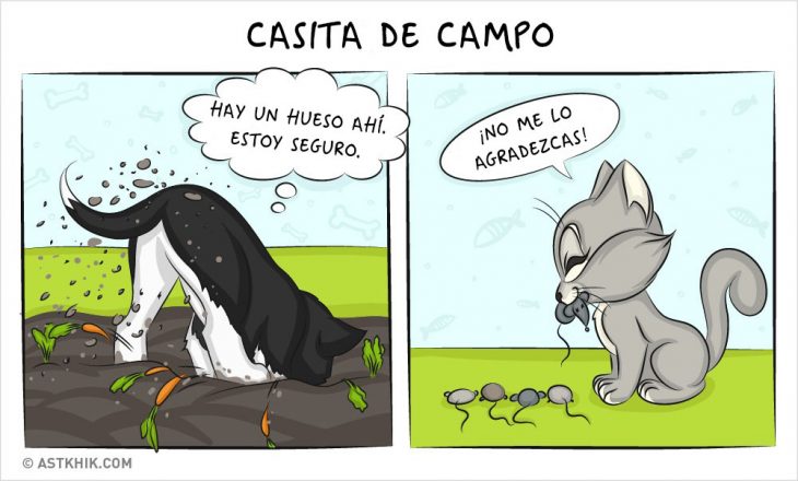 Comic que muestra las diferencias de vivir con un perro y con un gato cuando salen de paseo 