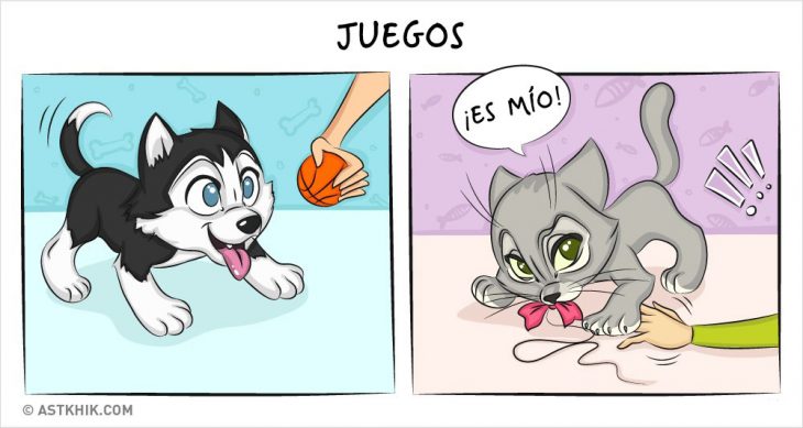 Comic que muestra las diferencias de vivir con un perro y con un gato a la hora de jugar