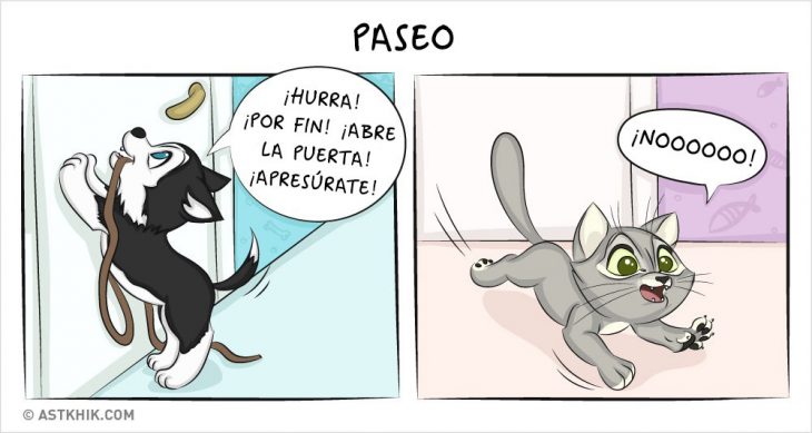 Comic que muestra las diferencias de vivir con un perro y con un gato cuando los sacas a pasear 