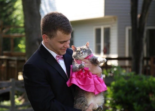 Chico sosteniendo a un gato que trae puesto un vestido en color rosa 