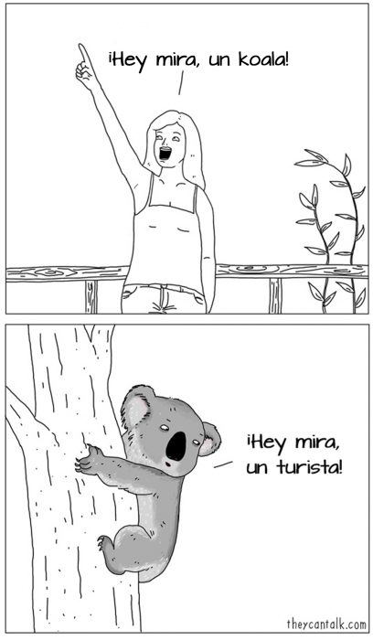 Ilustración de un koala mirando a una turista