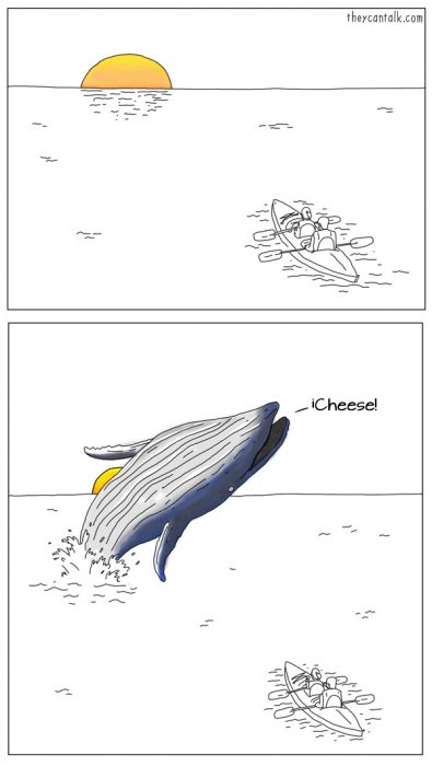 Ilustración donde aparece una ballena gritando queso 