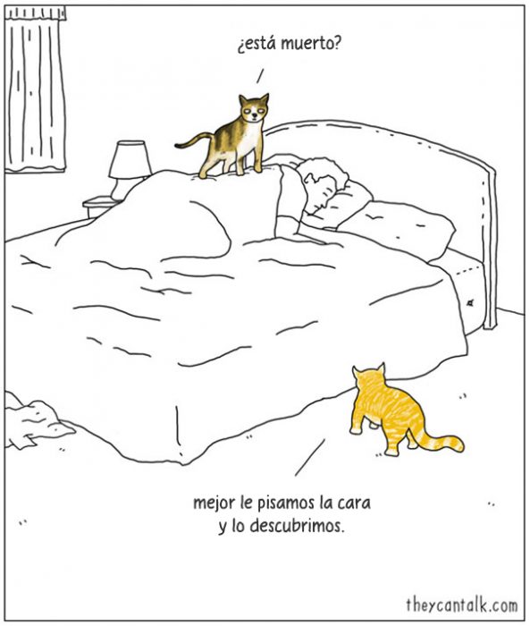 Ilustración de dos gatos brincando en la cama de su dueño 