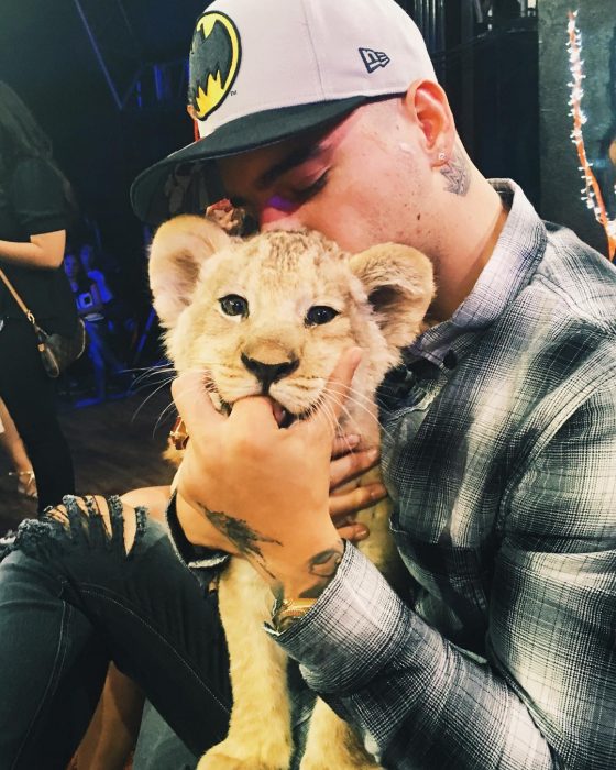 Maluma besando un león 