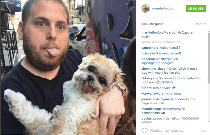 actor rubio ojos azules con lengua de fuera carga perro 