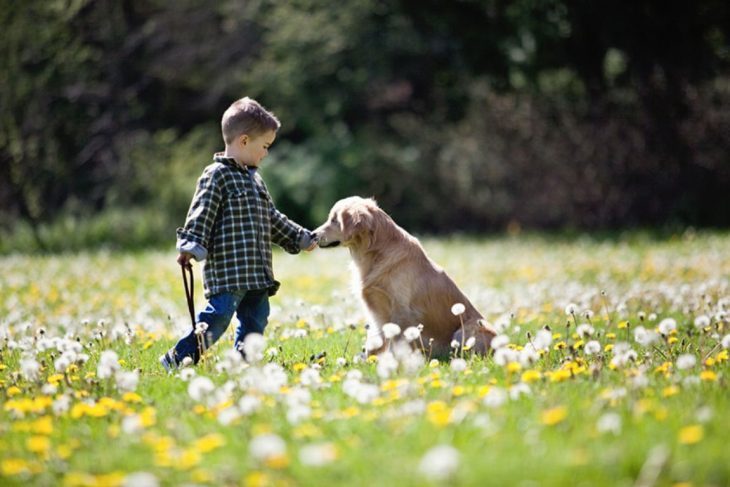 niño acariciando a un perrito en un jardín 