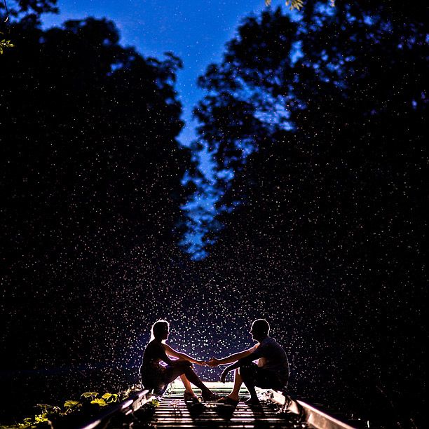 pareja sentada en la oscuridad y arboles