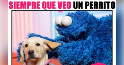 30 Cosas que sólo las chicas amantes de los perros podrán entender