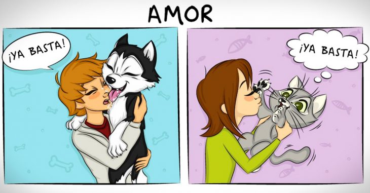 Cómics acerca de las diferencias entre vivir con un perro y vivir con un gato