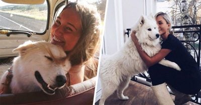 15 Razones por las que tu perro es tu mejor amigo en todo el mundo