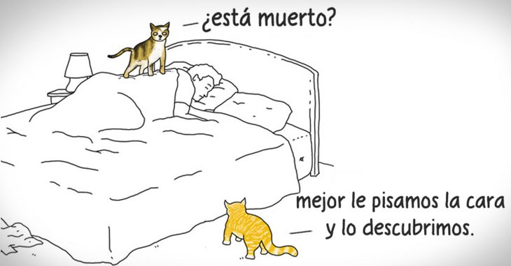 Si Los Animales Pudieran Hablar