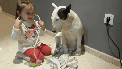 gif niña juega al doctor con su perro