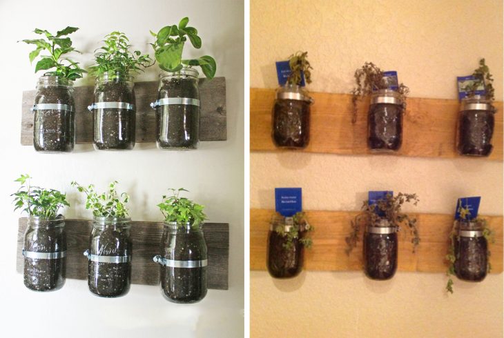 Fails de pinterest con plantas en vasos de mason jarr 