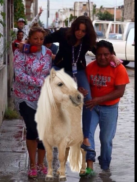 Ladyreportera en un caballo 