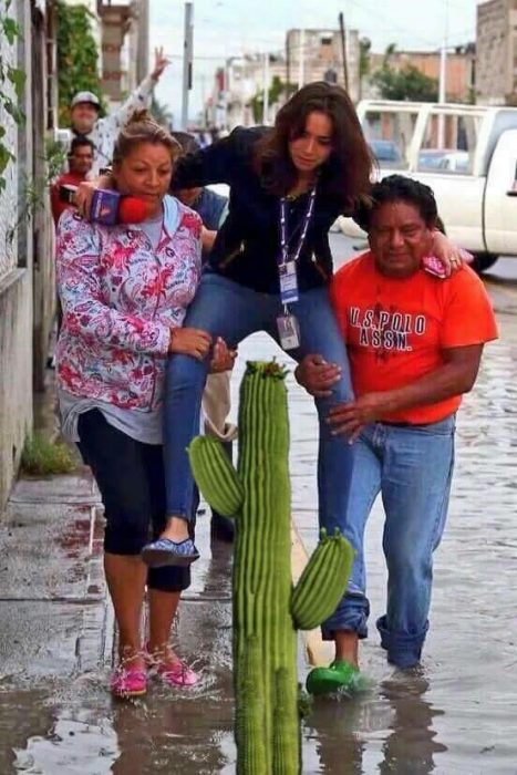 #LadyReportera en un cactus 