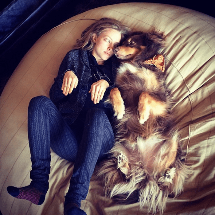 mujer jugando con su perro