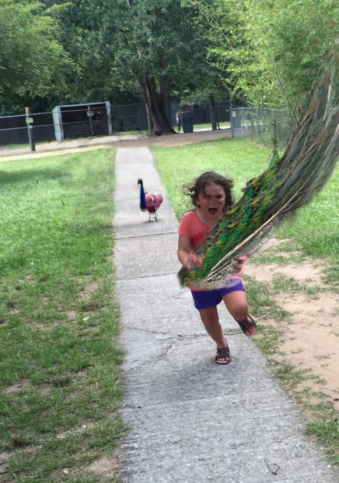 niña corriendo con plumas de pavo real en la mano