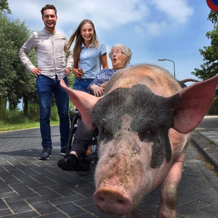 Abuela con sus nietos y un puerco