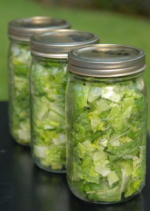 lechuga almacenada en vasos de vidrio