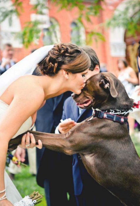 novia con vestido blanco besando a su perro 